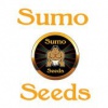 Sumo Seeds