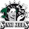 Sensi Seeds