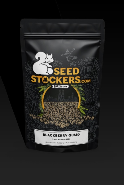 картинка Blackberry Gum Auto от магазина Semki