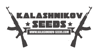 картинка Kabul Express от магазина Semki