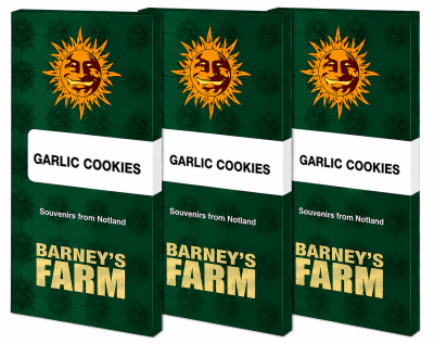 картинка Garlic Cookies от магазина Semki