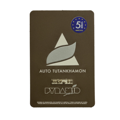 картинка Auto Tutankhamon от магазина Semki