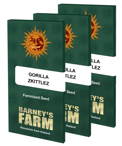 картинка Gorilla Zkittlez от магазина Semki
