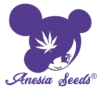 картинка Chemdog от магазина Semki