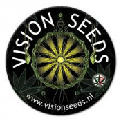 Vision Seeds