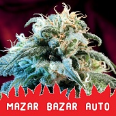 картинка Mazar Bazar Auto от магазина Semki