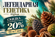 −20% НА ВСЕ СОРТА С ГЕНЕТИКОЙ AFGHAN от магазина Semki