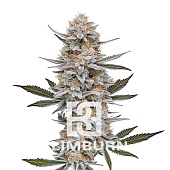 картинка Chemdog #4 от магазина Semki