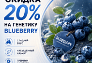 –20% НА ВСЮ ПОДБОРКУ BLUEBERRY! от магазина Semki