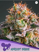 картинка Apricot Oreoz от магазина Semki