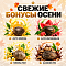ПОДАРКИ В КАЖДОМ ЗАКАЗЕ!