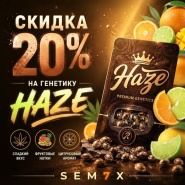 -20% НА ВСЮ ГЕНЕТИКУ HAZE! от магазина Semki
